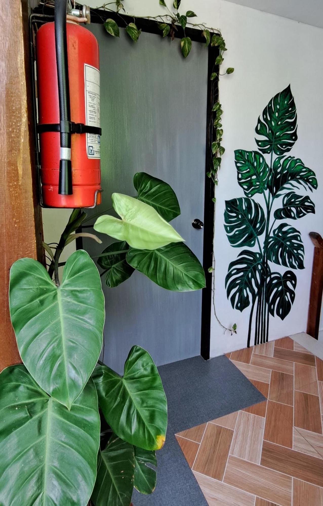 Bougainvillea Guesthouse Сан-Хуан Екстер'єр фото